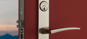 Main Door Handles